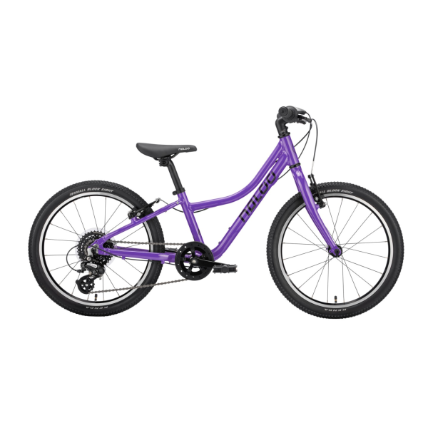 Naloo Chameleon 20", Mk2.1